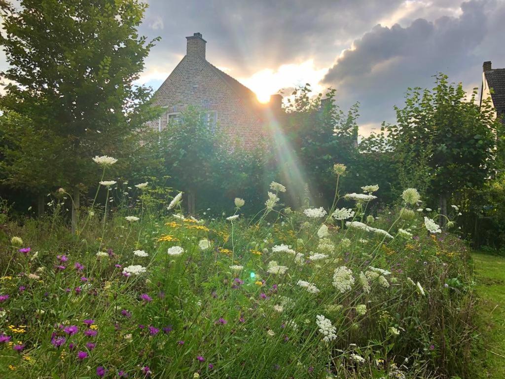 B&B Helena'S Hoeve Buggenum Dış mekan fotoğraf