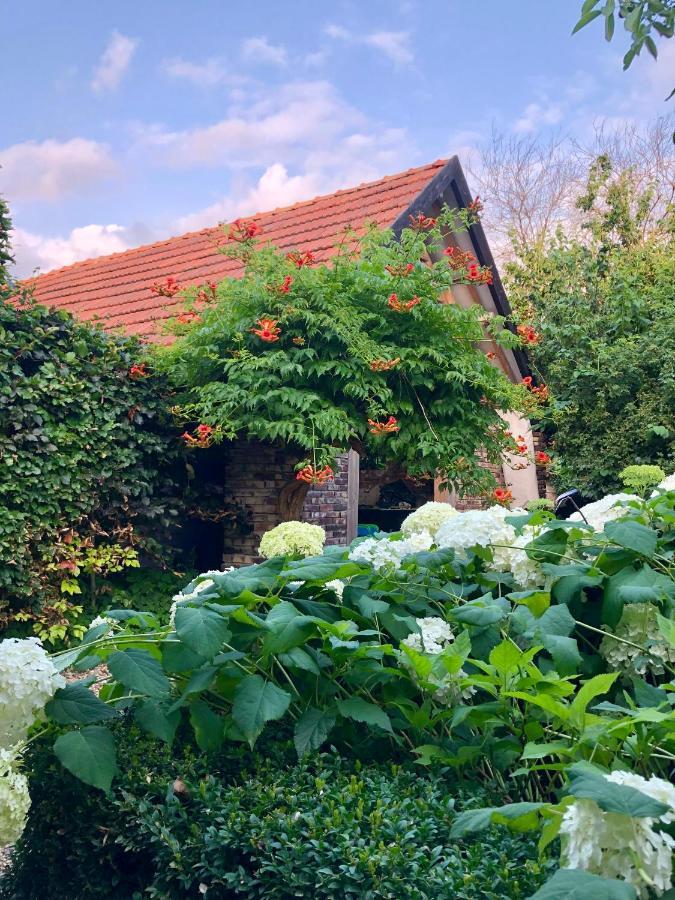 B&B Helena'S Hoeve Buggenum Dış mekan fotoğraf